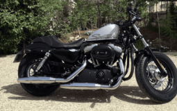 2010 Harley-Davidson Forty-Eight (XL1200X)